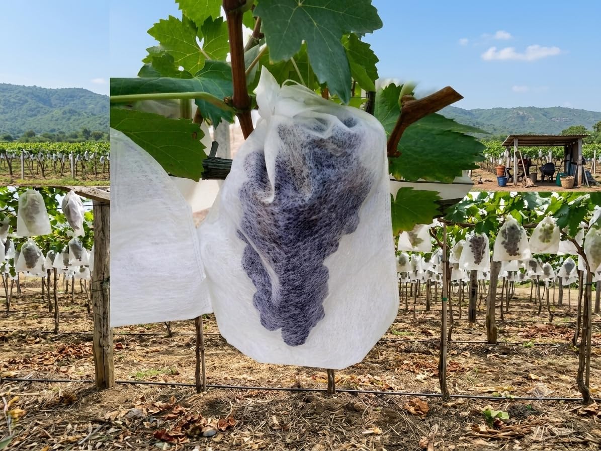 Non Woven Fruit Cover Bags, Plant Protection Covers, Pack of 100-picture-35