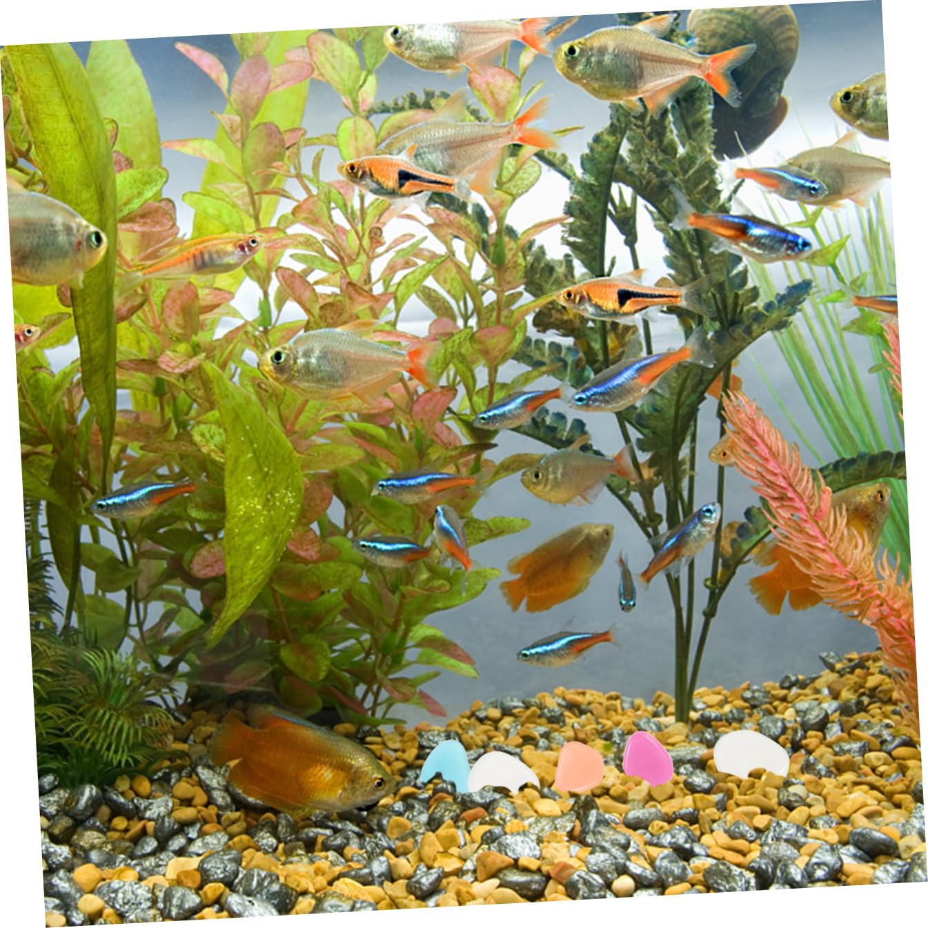 Yardwe 3 Sätze Leuchtende Kiesel Fischbecken Schaukelt Kies Aquarienversorgung Fischfelsen Für Becken Dekorative Blumentopfkiesel Kompakte Aquariensteine Harz 200 Stück * 3