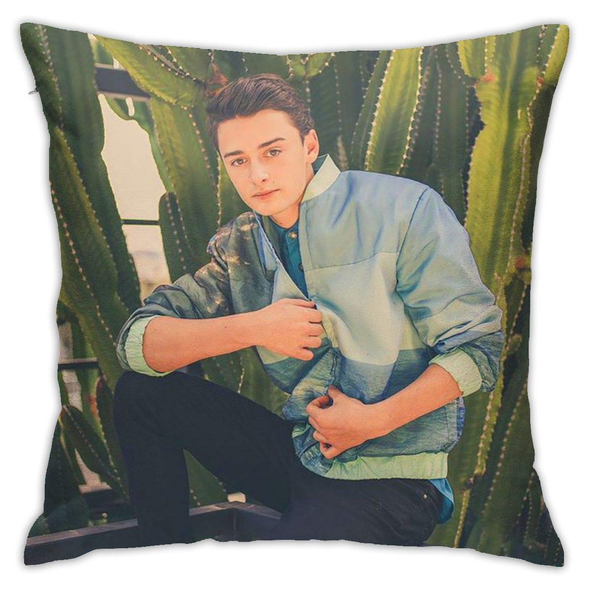 Noah Schnapp Kissenbezug 18x 18inch Custom Soft Square Kissen Dekorative Kissenbezug mit verstecktem Reißverschluss (Zwei Seiten)