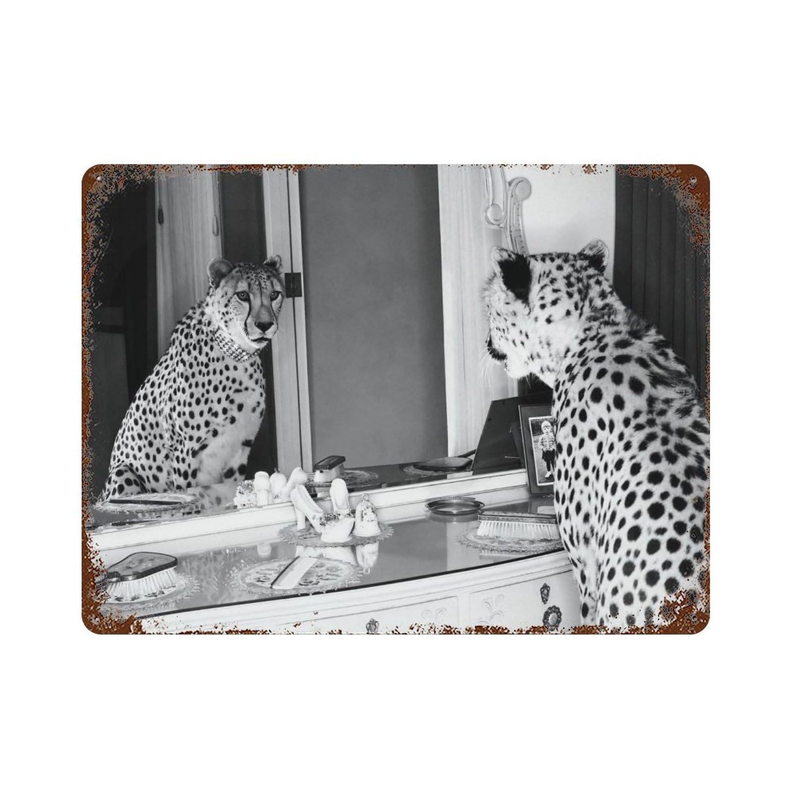 xiaoxiaoshen Cheetah Print, Photography Prints6 Wall Decor Art Metal Tin Poster Modern Home Decor Art Home Bar Shop Decorations Vintage Sign 30x40cm