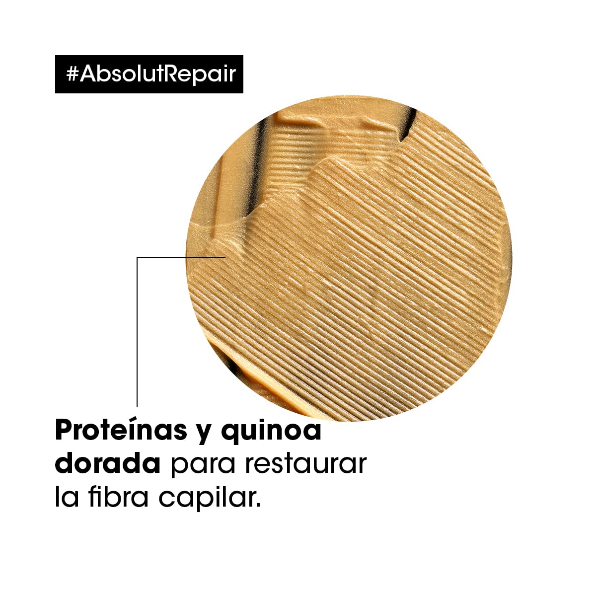 L'Oréal Professionnel Kit Shampoo + Maschera Professionale per Capelli Secchi e Danneggiati, Nutrimento Profondo, Formula Ristrutturante, Absolut Repair, 500ml + 250ml