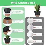 12" 10" 9" 8" Self Watering Pots with Water Level Indicator, Large Plastic Planters Set with Mesh Drainage Hole and Removable Saucer Reservoir, Big Flower Pot for Indoor Outdoor Plants - Black