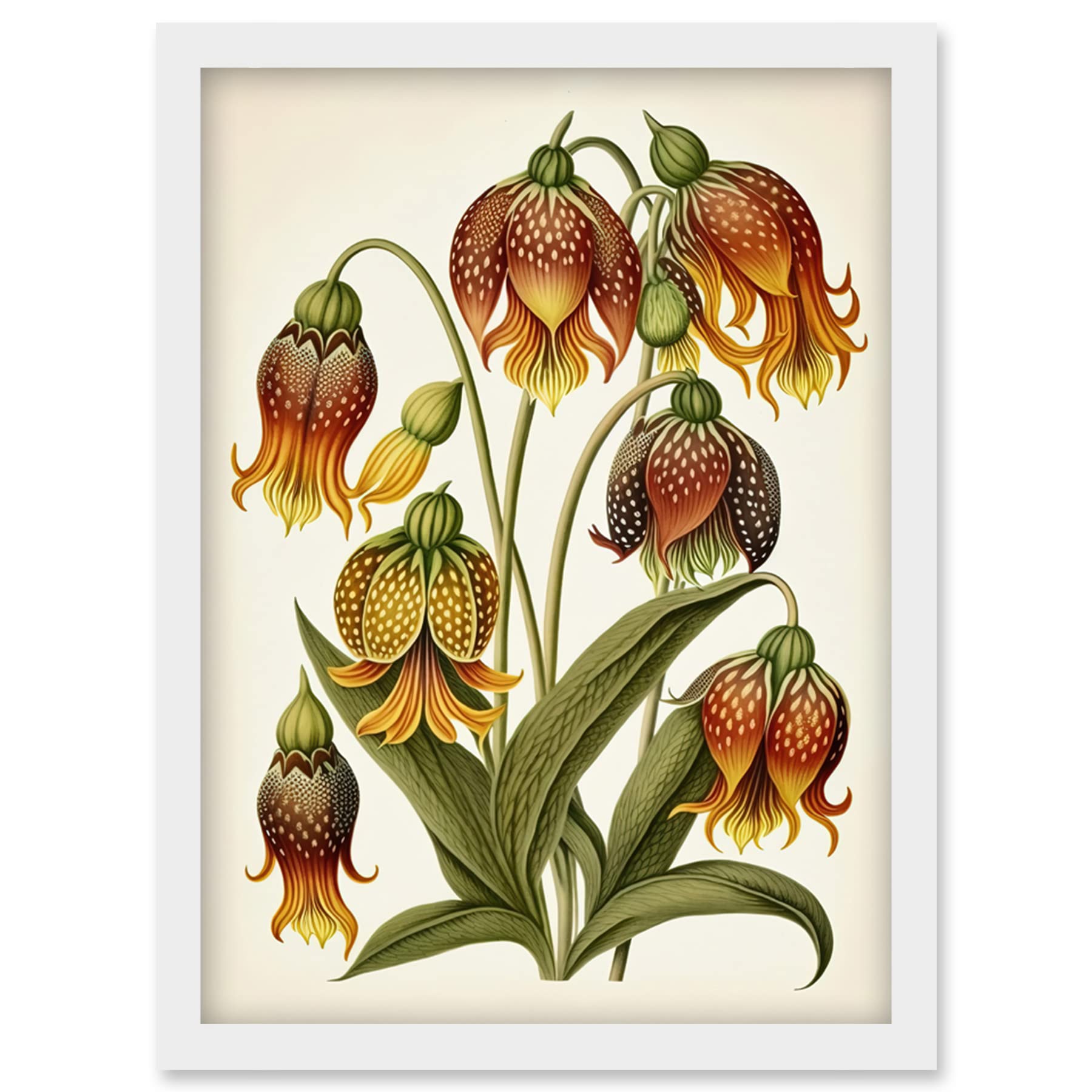 Ernst Haeckel Fritillaria Flower Watercolour Print - A4 Framed Wall Art
