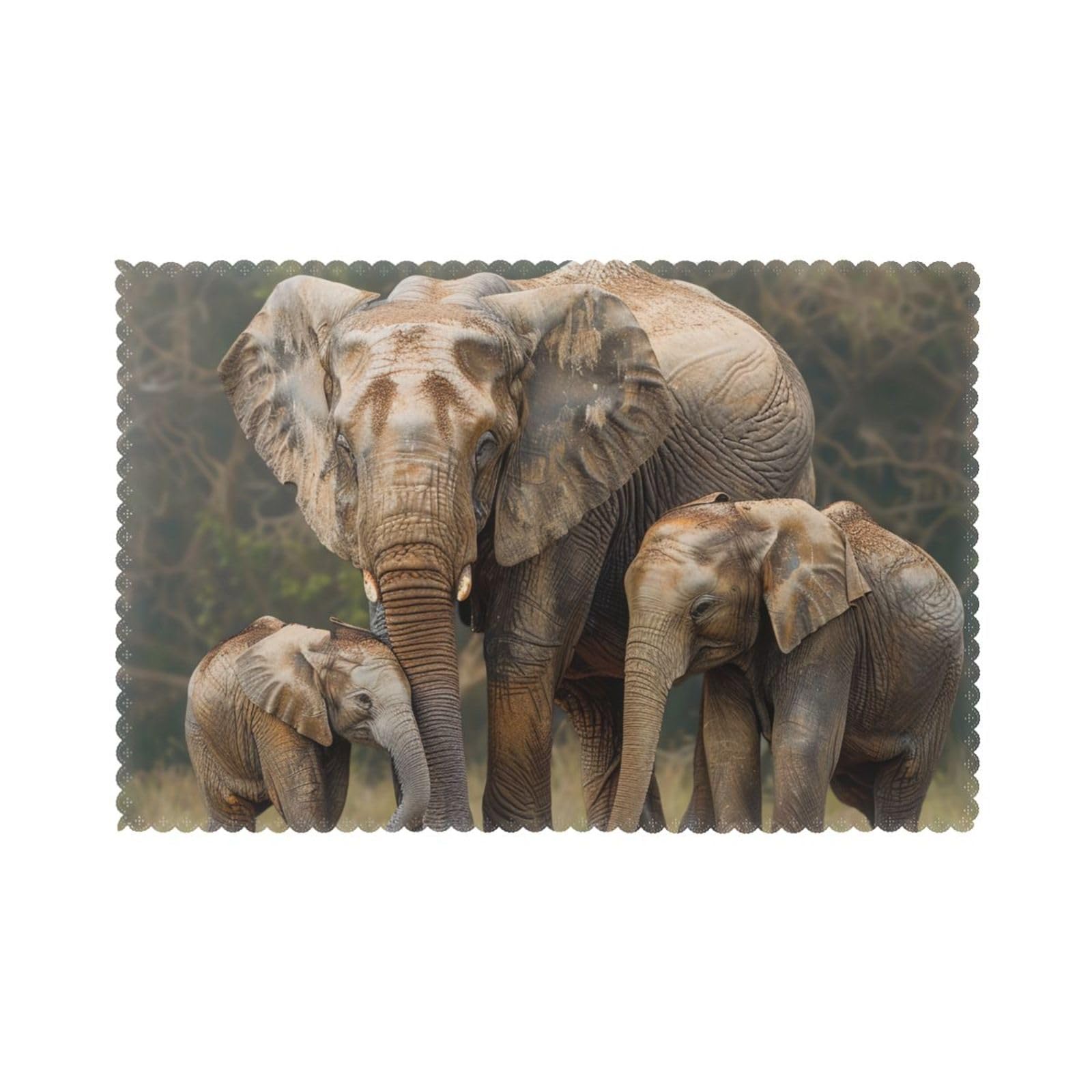 Elephant Family Printed Placemat Heat Resistant Place Mats Set of 6 PCS Washable Kitchen Table Mats, 12x18 Inch