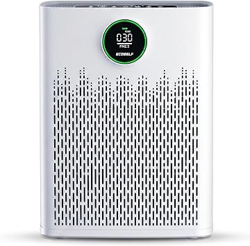 Air Purifiers for Home Large Room, Cover Up to 2400 Ft2 with True HEPA Filter, Aromatherapy with 2X-Purification & 360Air Outlet, HAP603