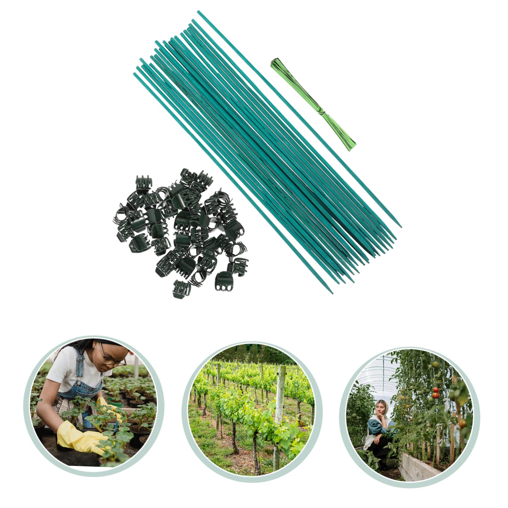 BESPORTBLE 3 Sets Pflanzen Bambusstäbe Arrangierstäbe Gartengeräte Gartengeräte Gartenpflanzen Stützwerkzeuge Stützpfähle Zimmerpflanzen LED Wachstumslicht Netz Gartenbedarf