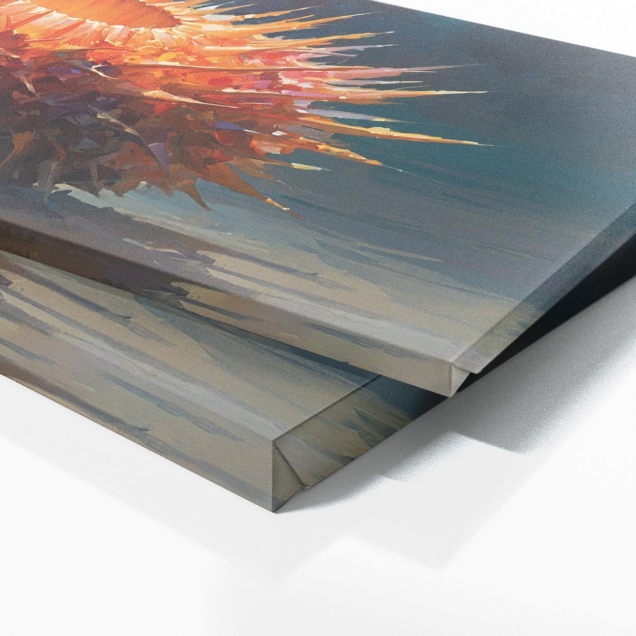 Amazon.com: Sense Canvas Sea Urchin Vivid Spinal Burst 48 Canvas