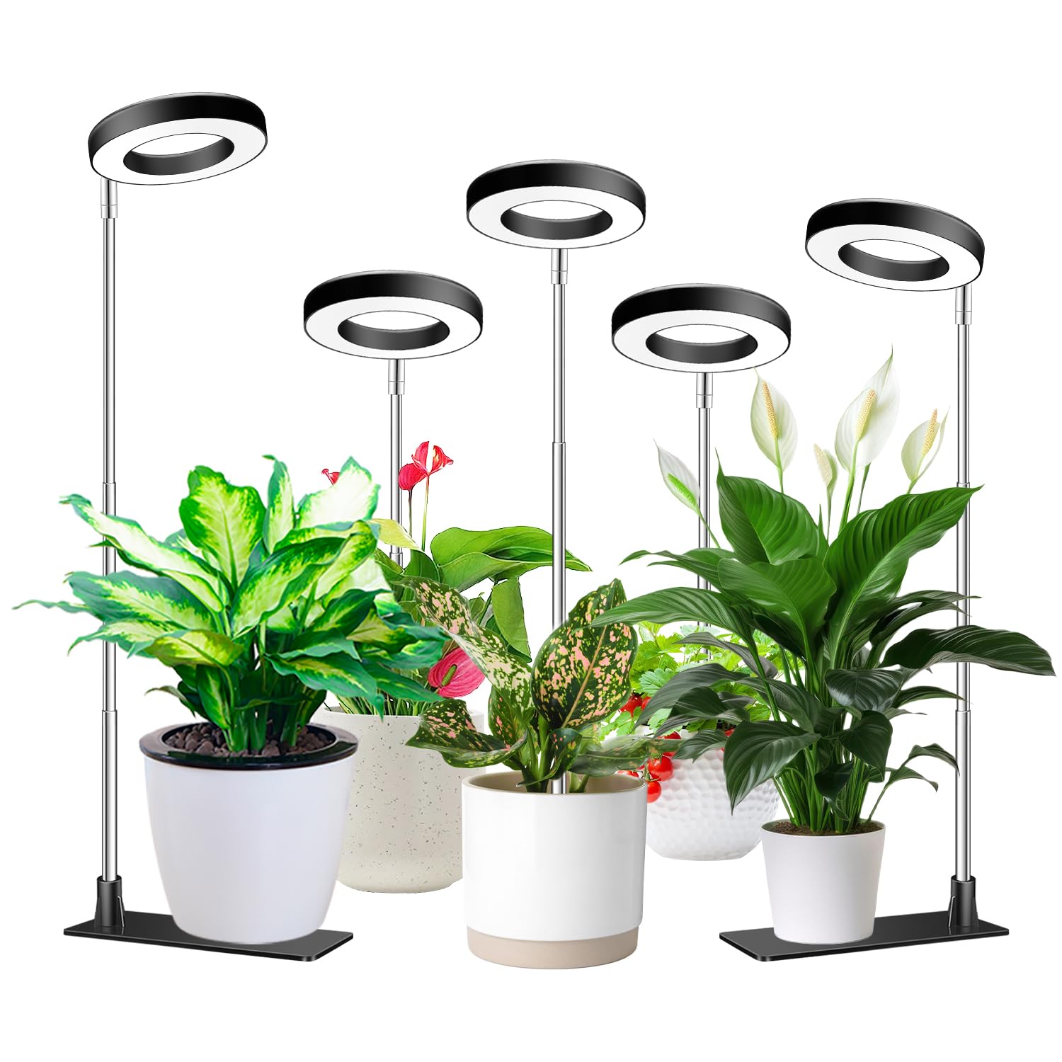 Aokrean Grow Lights for Indoor Plants,Full Spectrum Halo Plant Light 5 Pack