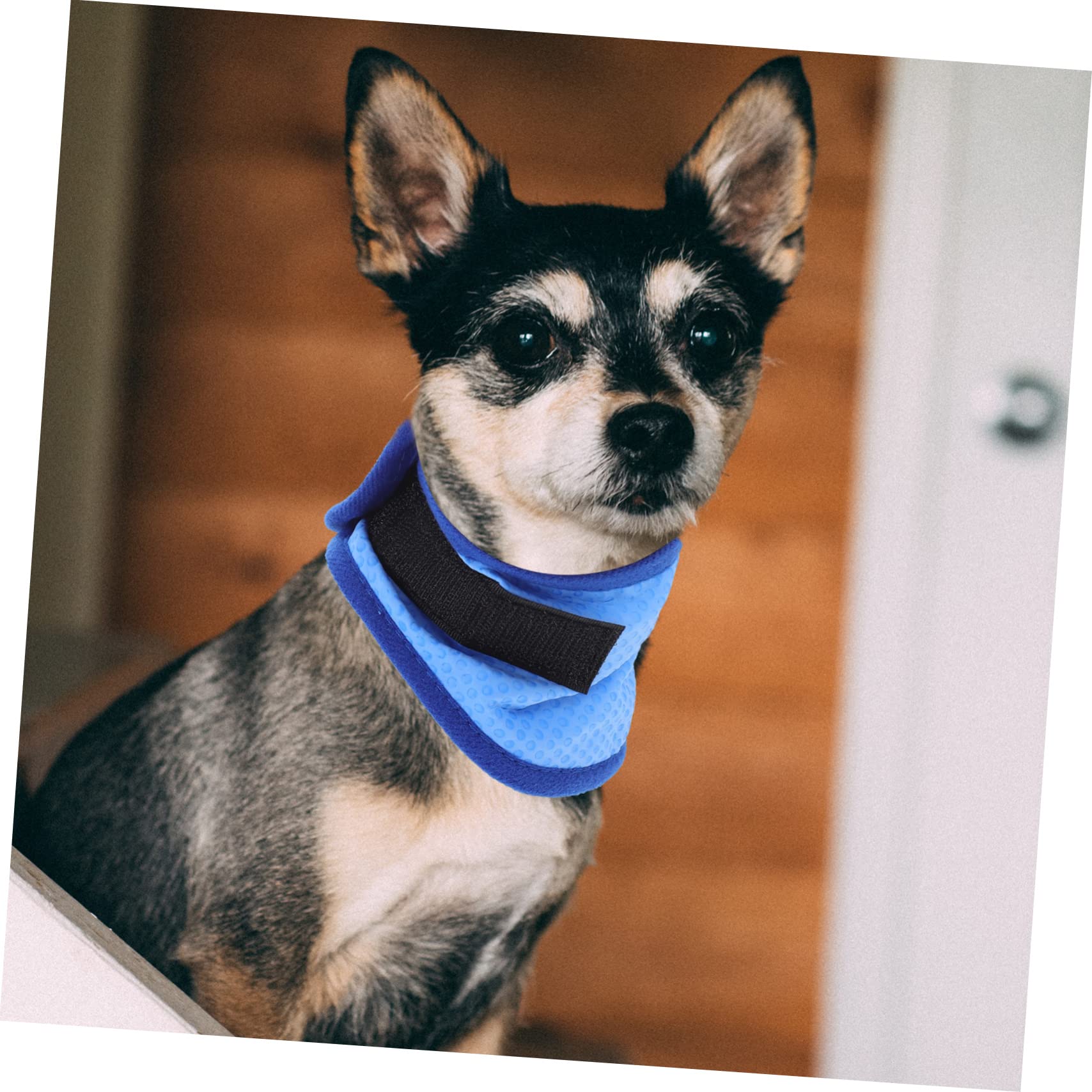 Kisangel 5stücke Atmungsaktive Kühlbandana Für Haustiere Pet Cool Scarf Kühlendes Tuch Für Hunde Für Heiße Tage Leicht Und Hautfreundlich Für Optimale Temperaturregulierung