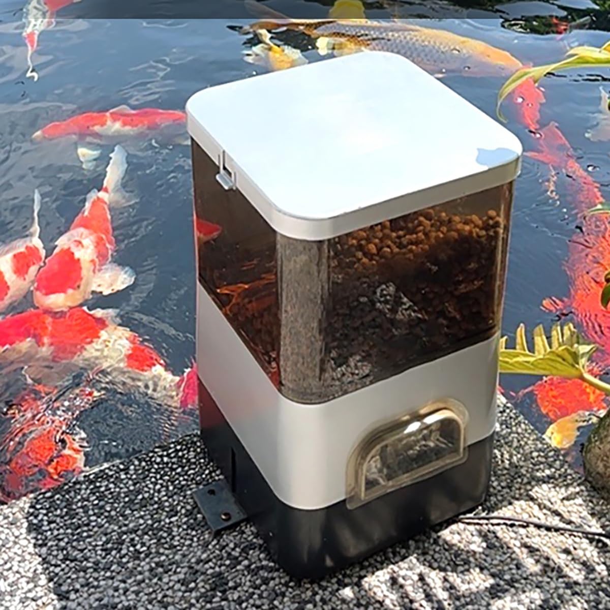 Distributore automatico di mangime per pesci - Grande capacità 10 litri, di Grande capacità, Ideale per acquari, Carpe Koi, Pesci Rossi e laghetti Esterni