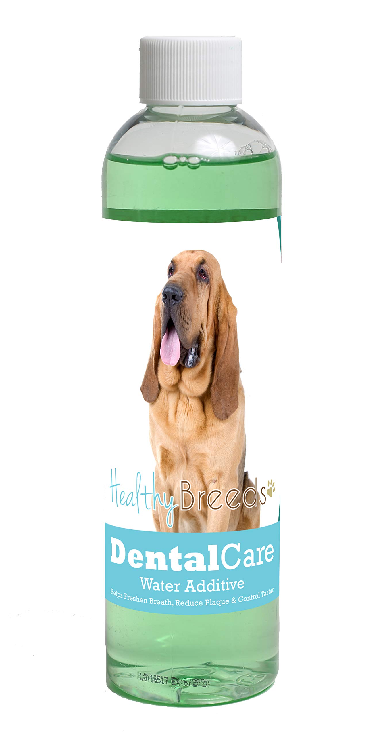 Healthy Breeds Dog Dental Care Water Additive for Bloodhound - Helps Freshen Breath, Reduce Plaque &amp; Control Tartar - Mint Flavor - 8 oz