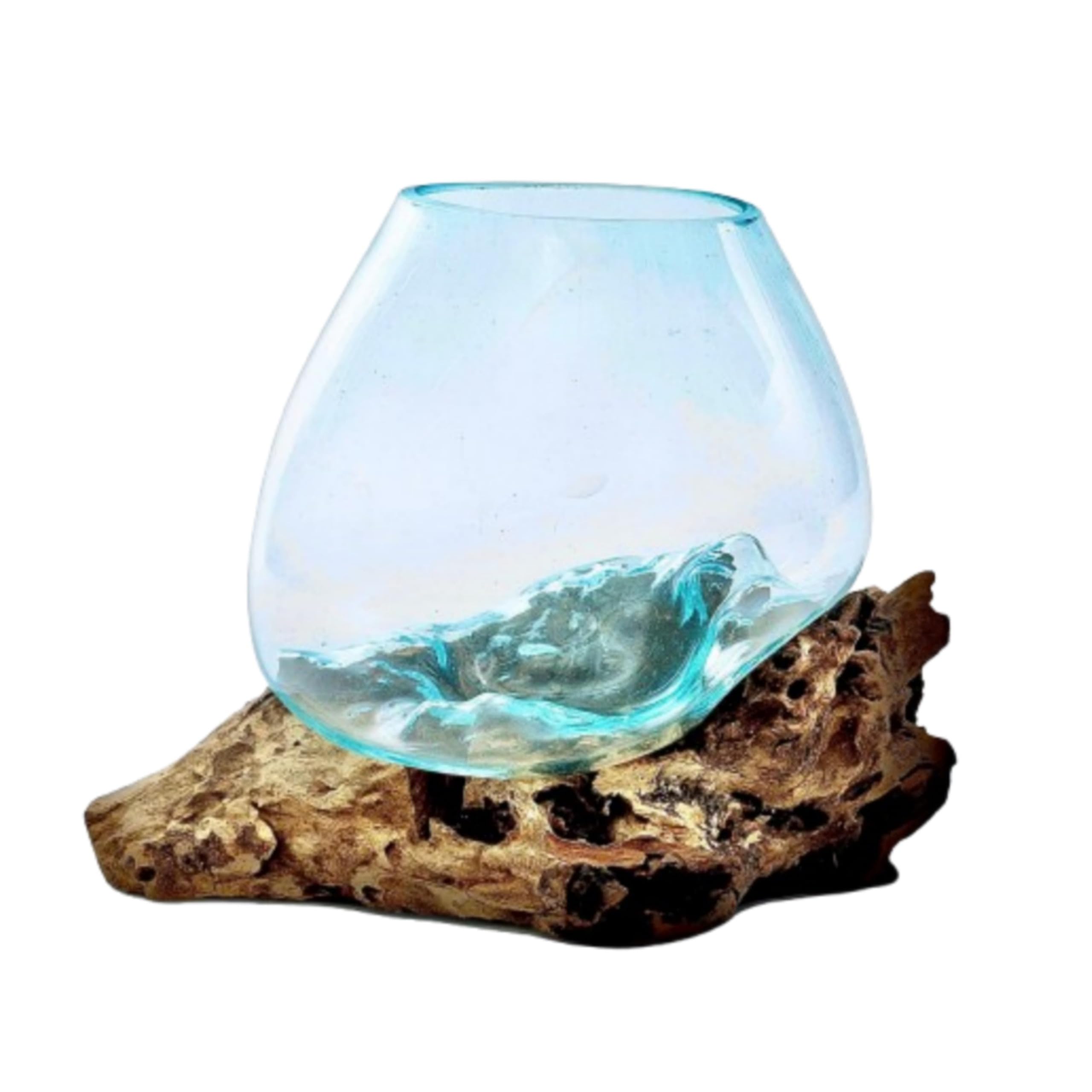 BAGUS Home DCOR Glass Aquarium on Natural Driftwood - Elegant Handcrafted Tabletop Decor with Elevated Design | Perfect for Home & Office (Small)