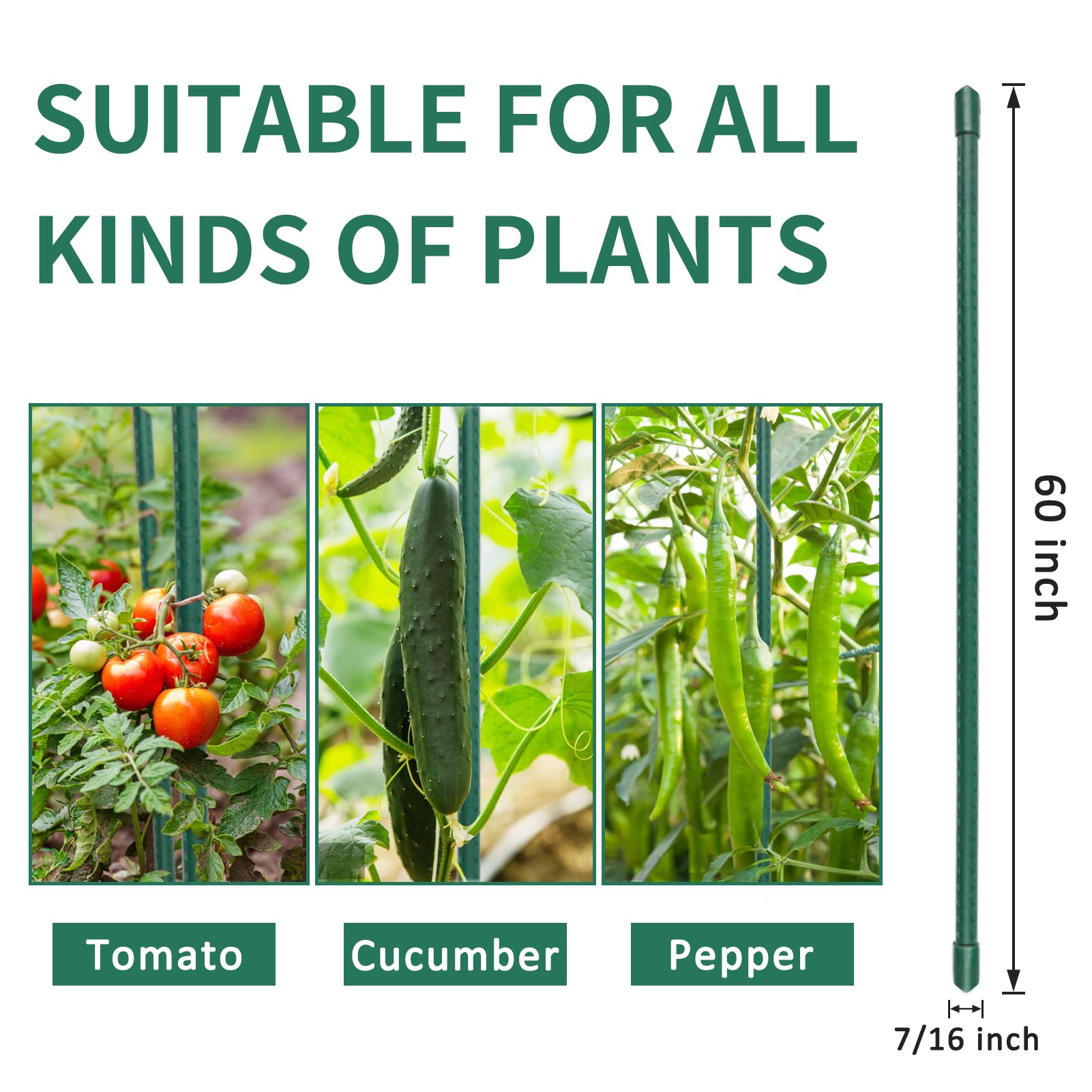 Hmdivor Garden Stakes 60 Inch Plant Stakes, Tomato Stakes, Pack of 30