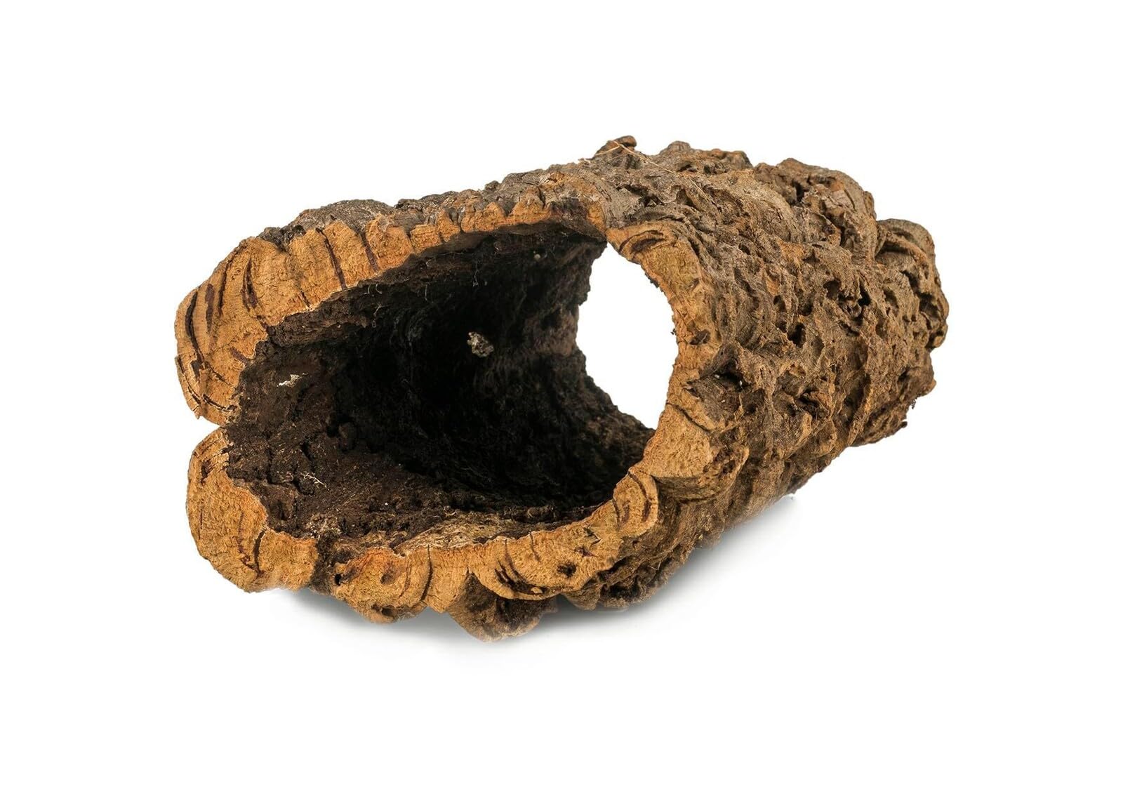 Rurka korkowa Happet - naturalna kora dębu korkowego – akcesorium wspinaczkowe dla gadów, bezkręgowców i małych ssaków, uniwersalne i estetyczne do terrariów i wolier (10-15 cm x 20 cm)