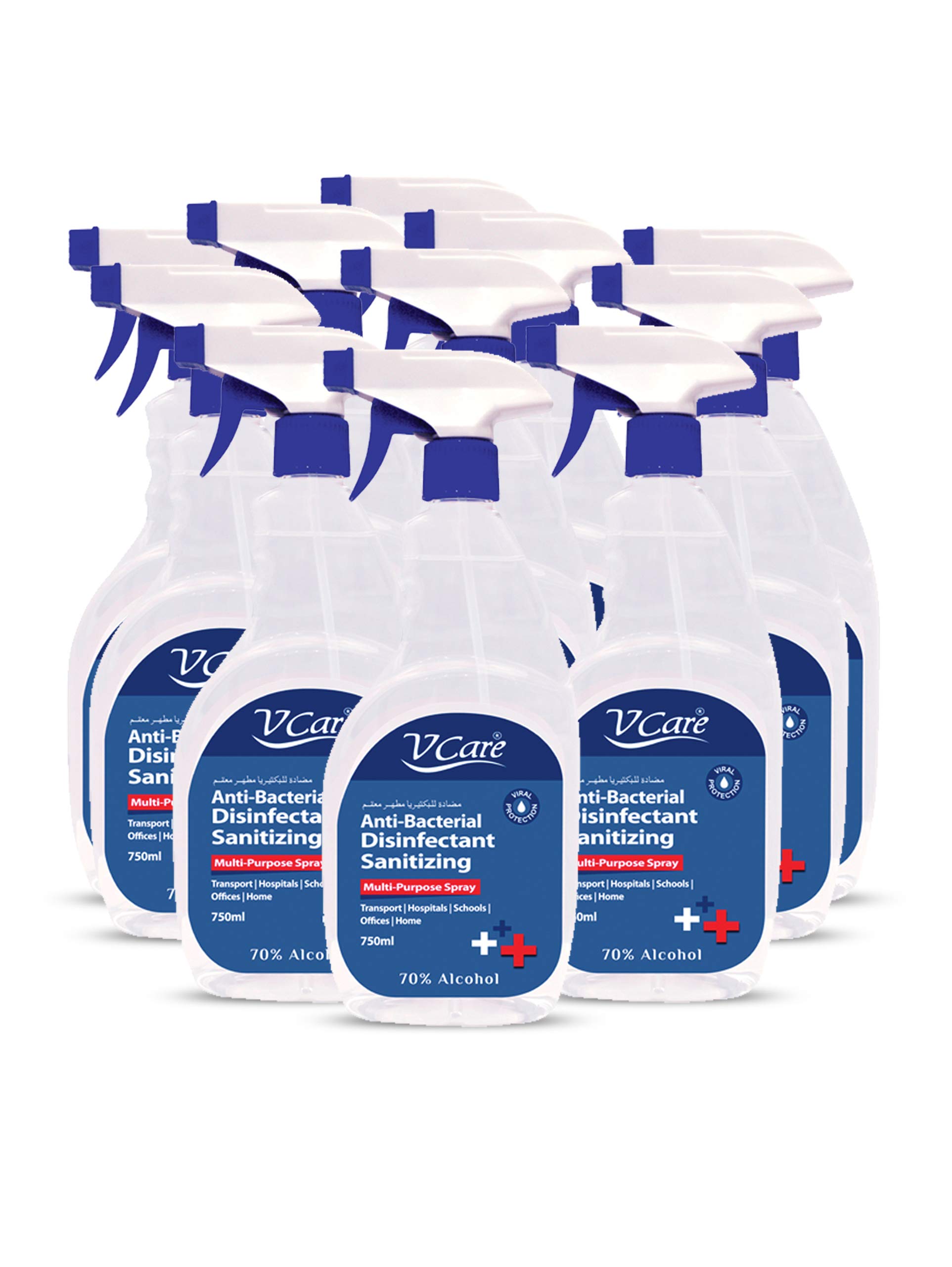 Anti-Bacterial Disinfectant Sanitizing Multi-Purpose Spray 750 Ml (Pack Of 12)