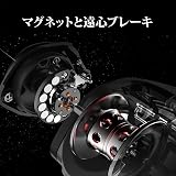 Carrete de pesca KastKing Royale Legend Baitcasting, carrete de pesca perfecto