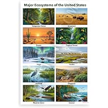 Major Ecosystems of the United States Educational 12x18 US Made Poster