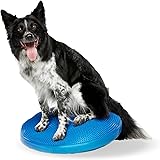 FitPAWS® Dog Balance Disc – 22”, Blue | Dog Exercise Equipment | Workout Tool for Strength, Core, Stability & Rehabilitation 22' Blue