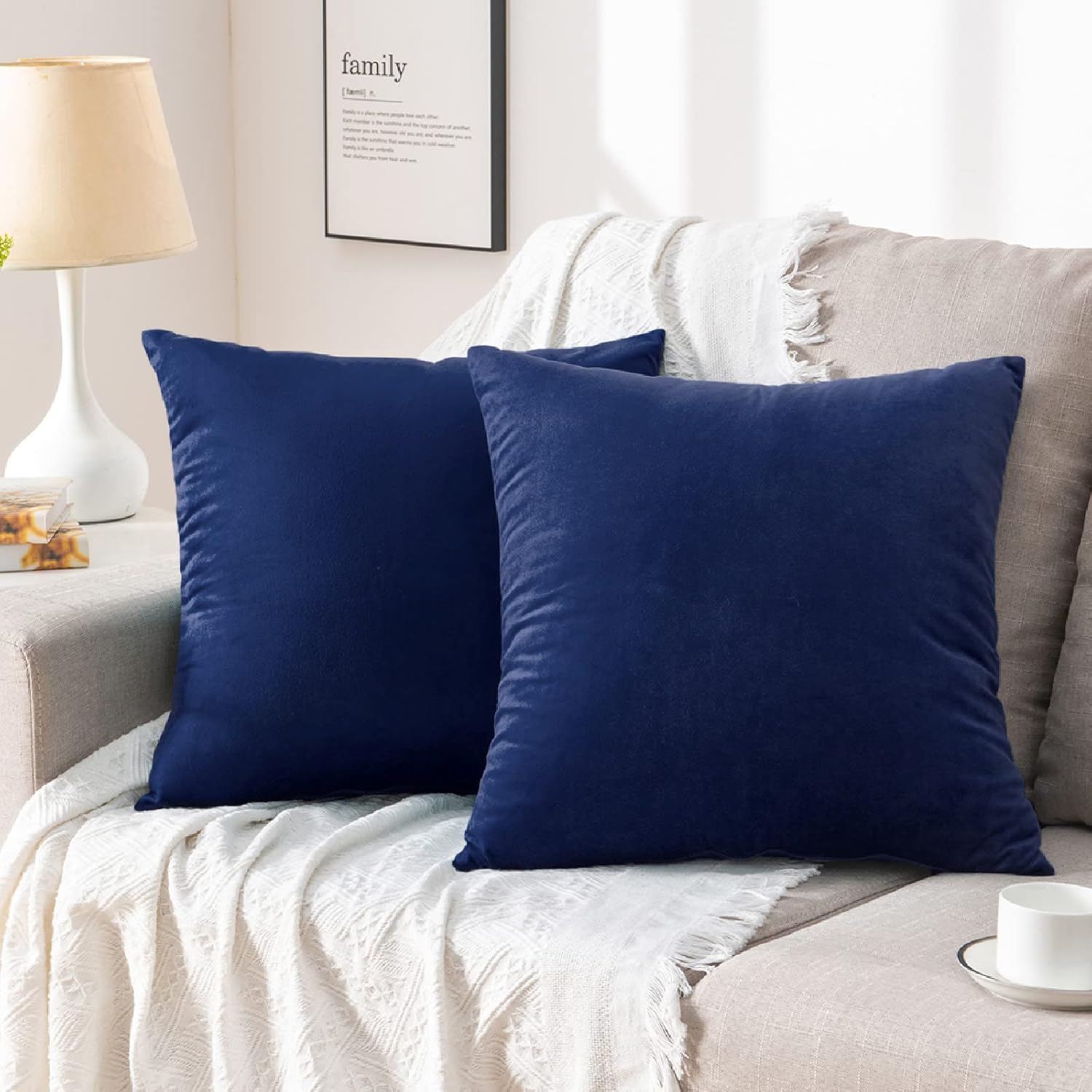 Amazon.com: Set of 2 Throw Pillow Covers 20x20, Navy Blue Throw Pillow ...