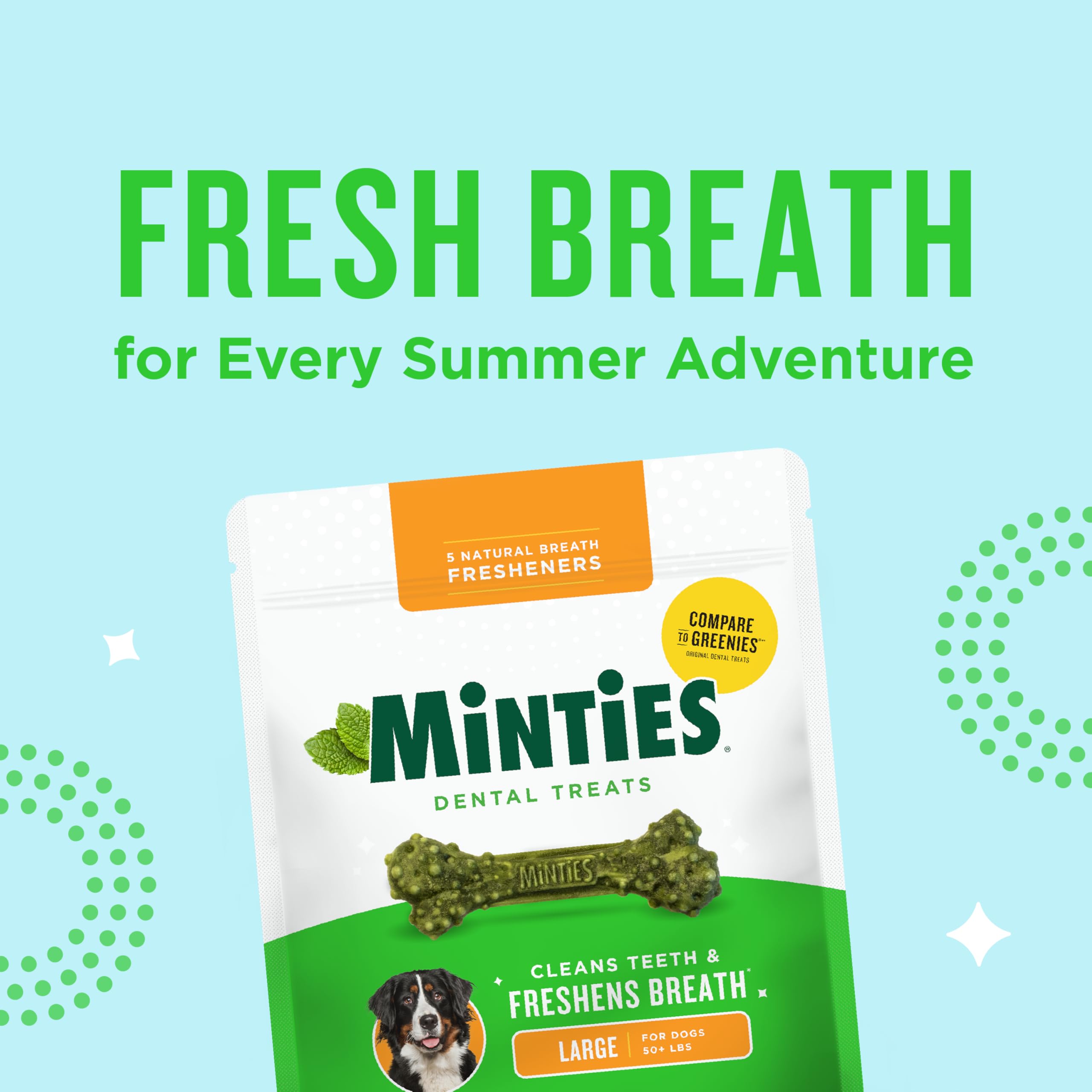 Minties Zahnkauartikel für Hunde, 24 Stück, von Tierärzten empfohlene Leckerlis mit Minzgeschmack für große Hunde über 22,7 kg, Zahnknochen reinigen Zähne, bekämpfen schlechten Atem und entfernt
