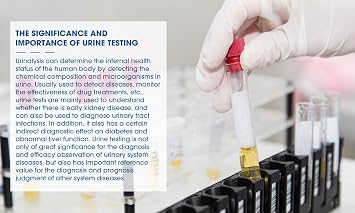 Urine Test Strips 10-in-1 – 100 x Rapid Home Urinalysis Kit for Glucose, Ketones, Protein, pH & More – Anti-VC Interference for Accurate Results