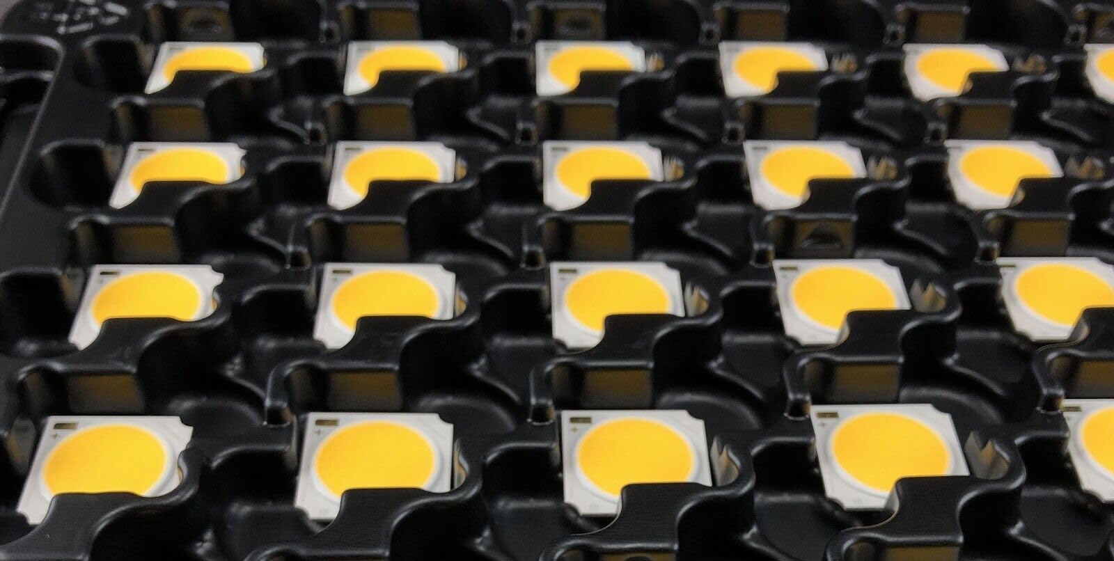 5X Pack CLU038-1206C4-403M2M2-F1 4000K 80CRI COB Modulo LED max. 58.4W Versione 6 350-1380mA 19x19mm Proiettore Spotlight Horticultural Grow Light