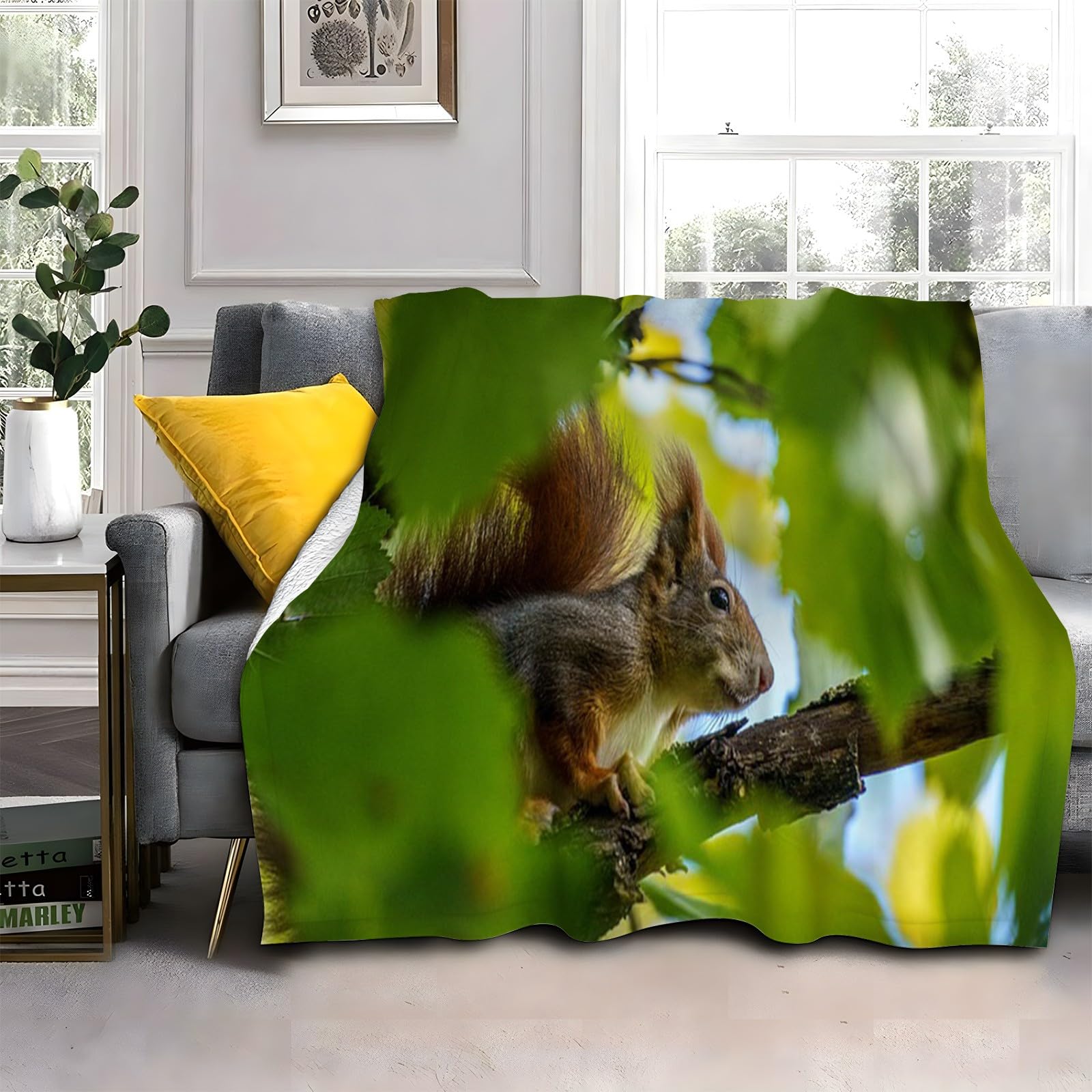 Couverture polaire écureuil pour rester au chaud sur le canapé 180x200