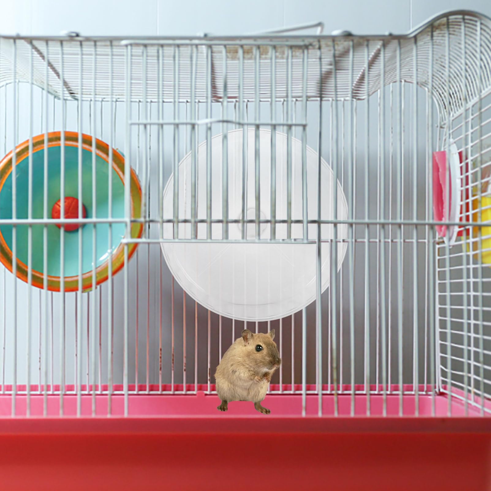 TOYANDONA Geräuschloses Laufrad Multifunktional für Hamster und Meerschweinchen aus Kunststoff Leicht zu Reinigen für Täglichen Gebrauch