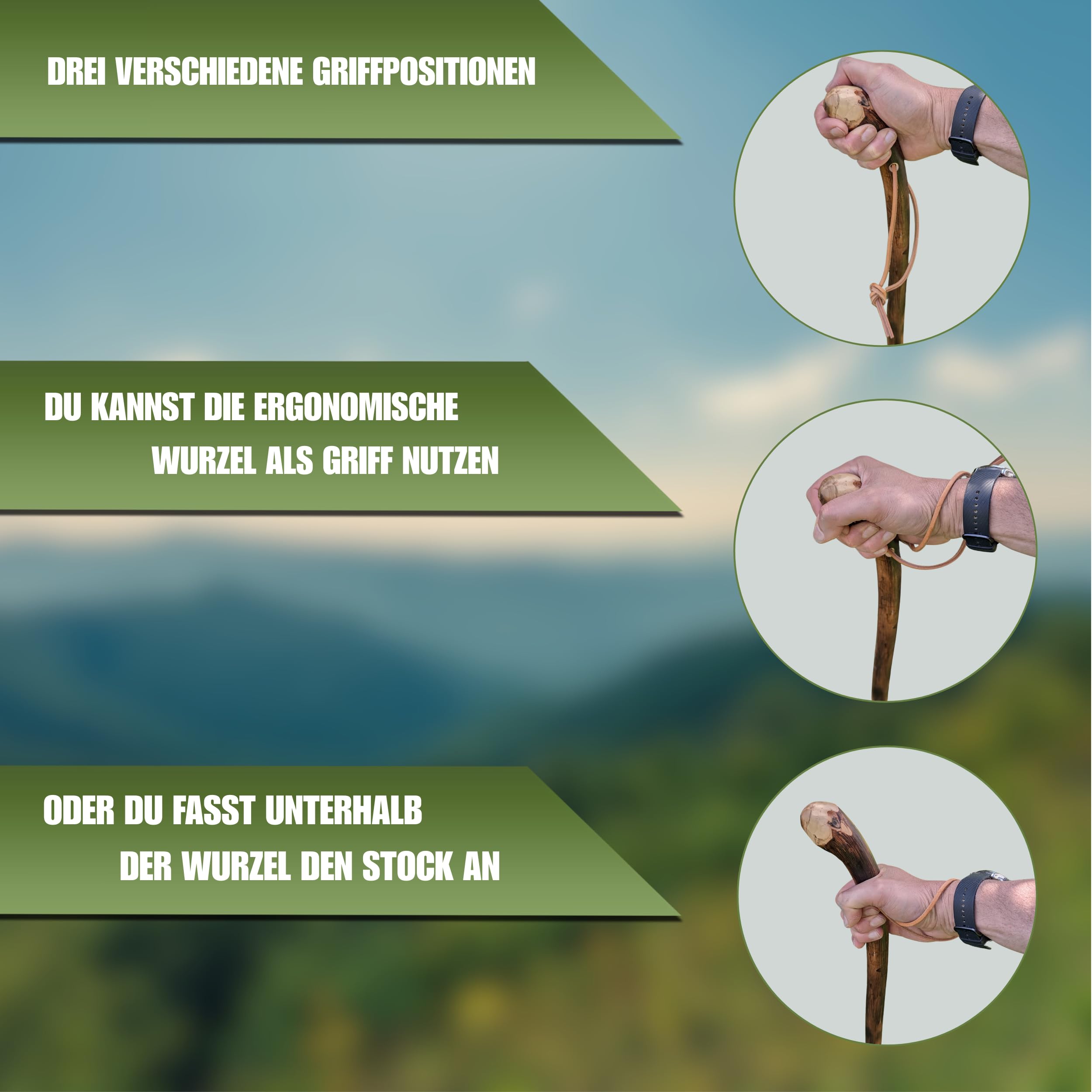 Wanderstock Holz aus Naturwurzelholz mit Sternzeichen-Symbolen, 98-170 cm | 15 Zeichen im Preis enthalten