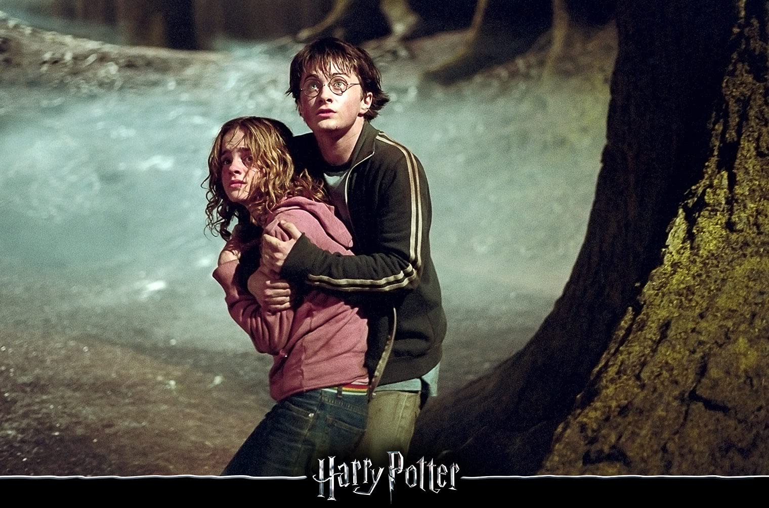 Harry Potter: La collection complète (4K Ultra-HDs) (8 Films) [Alemania] [Blu-ray]
