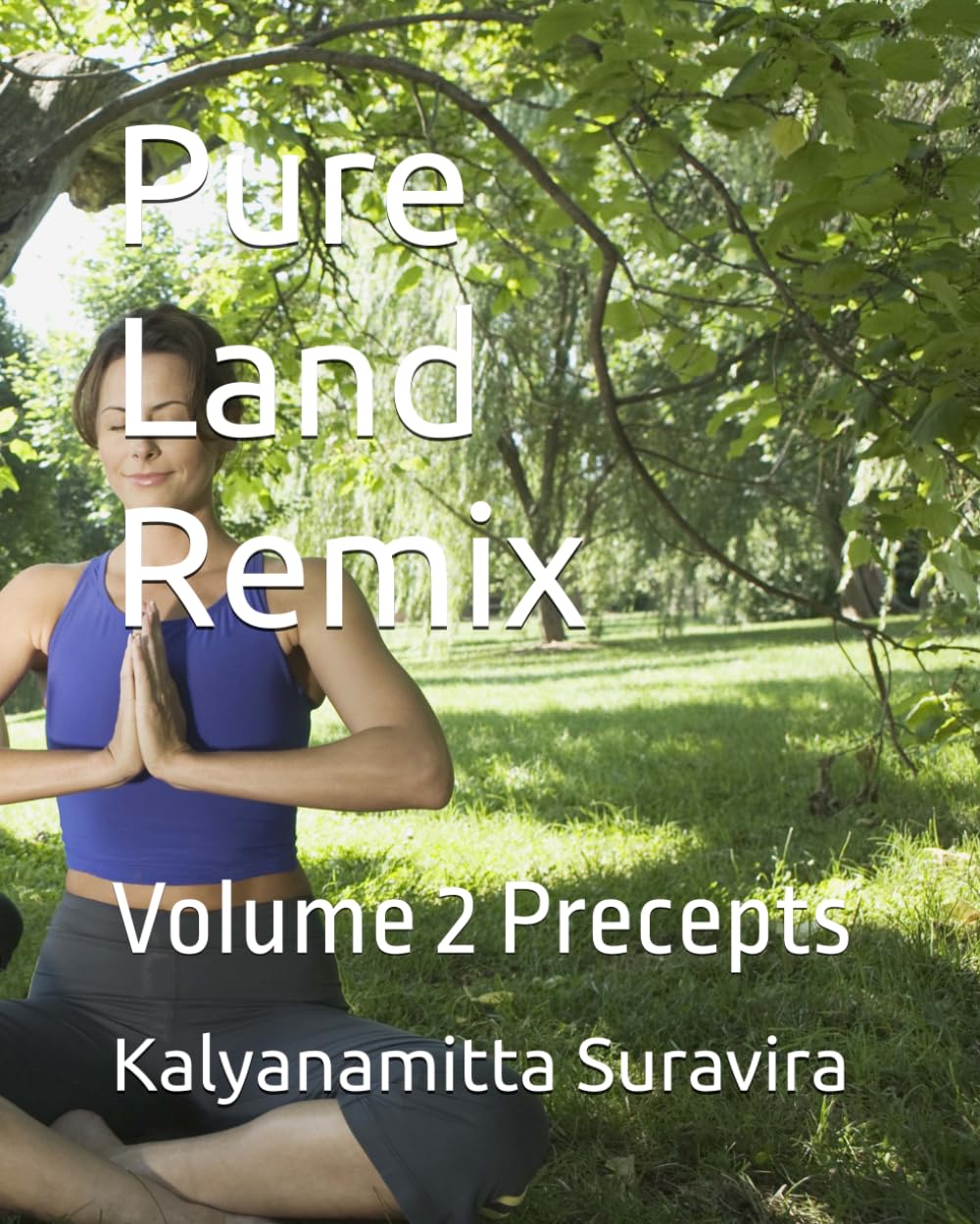 Pure Land Remix: Volume 2 Precepts