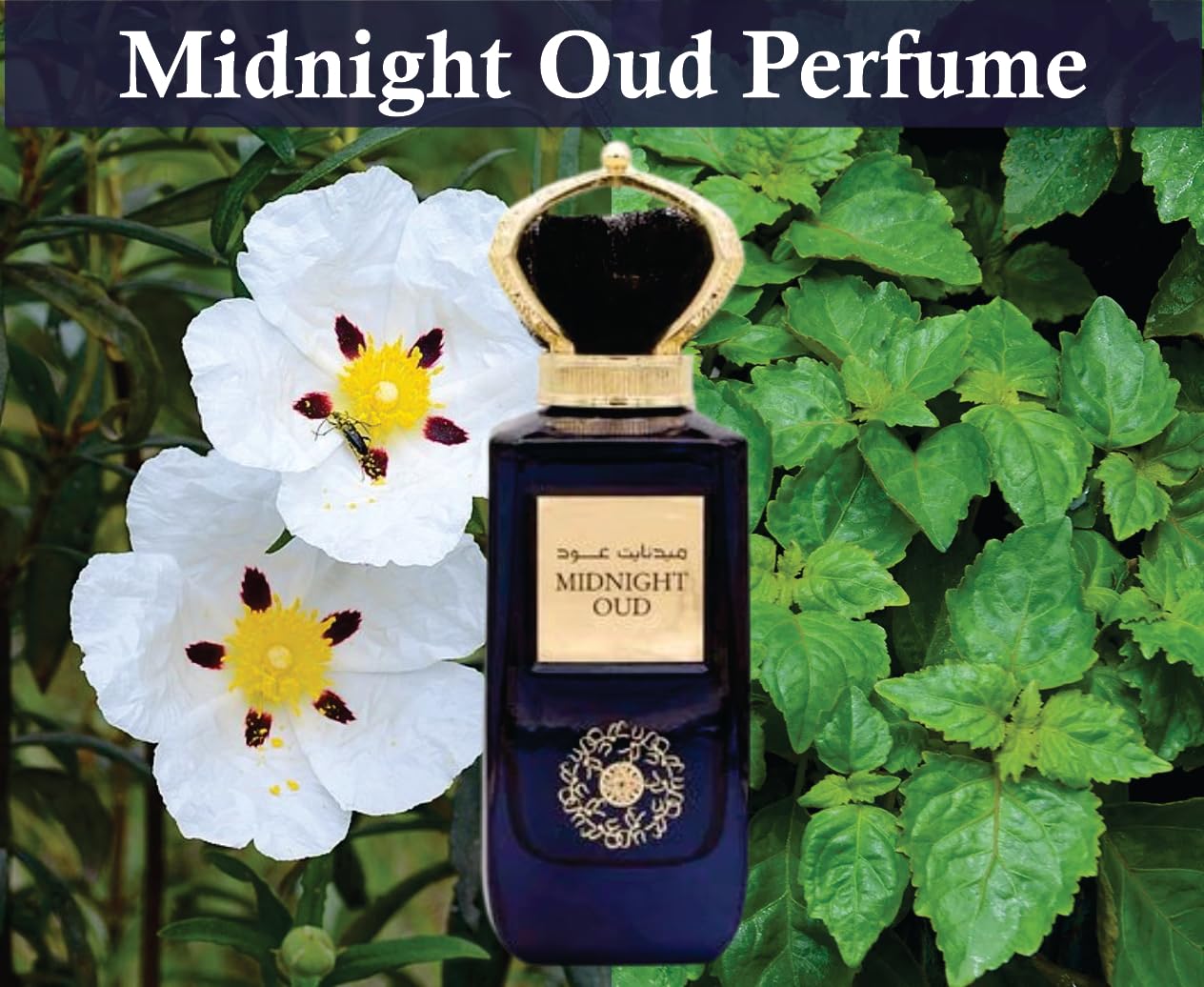 Midnight Oud Perfume Midnight Oud Edp Eau De Parfum 100ml