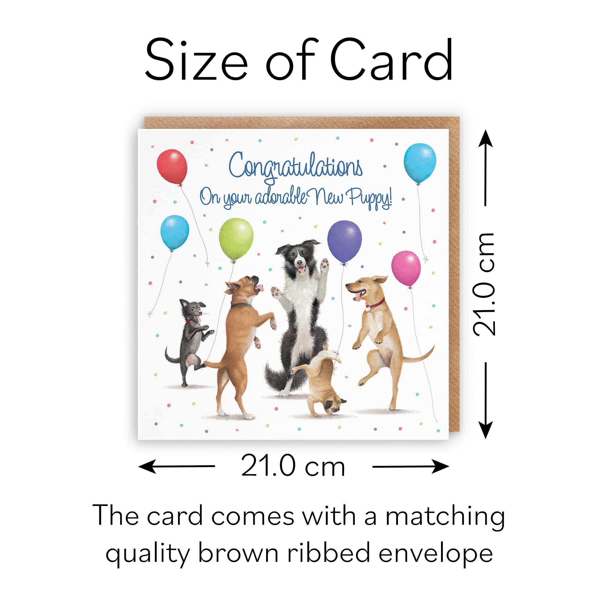 Hunts England - Large New Puppy Congratulations Card - Dancing Dogs - Luxury Artistic Dogs Card For Welcoming New Puppy, New Home For Puppy/New Pet - Milo's Gallery Collection - 210 x 210 mm - Image 4