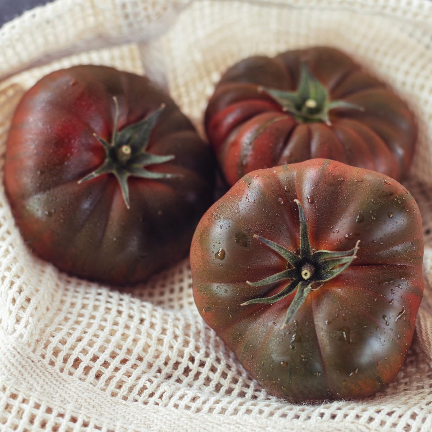 PREMIER SEEDS DIRECT - Tomato Seeds - Purple Cherokee (500 Seeds)
