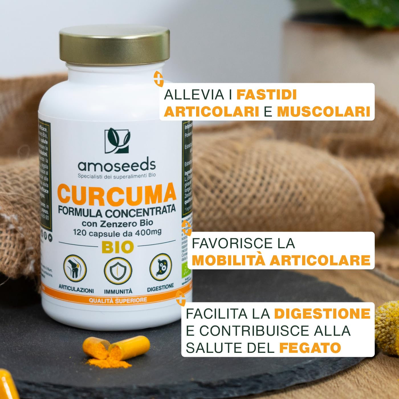Curcuma BIO con Zenzero | Alta concentrazione, 95% di curcuminoidi | Curcumina Alto assorbimento | Riduce i dolori articolari | Senza piperina | 120 capsule | Qualità Superiore