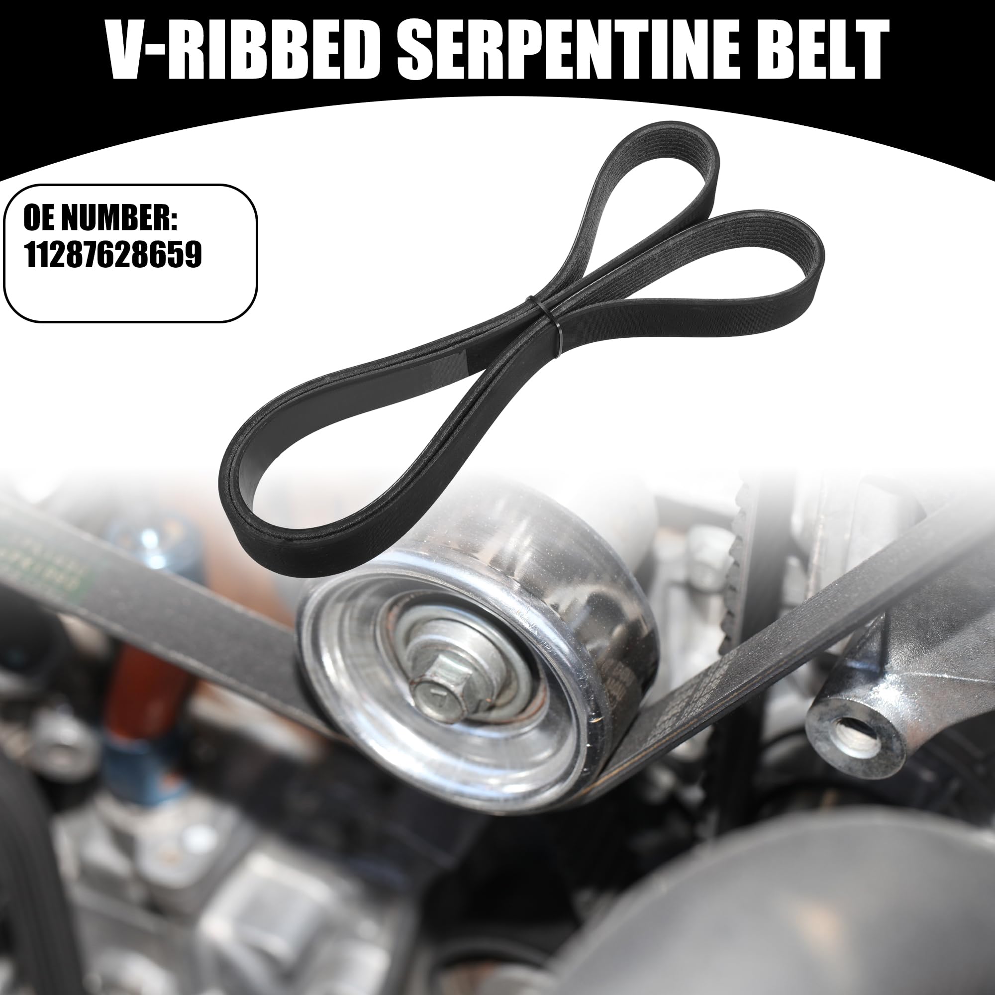 Amazon.com: Partuto V-Ribbed Serpentine Belt No.11287628659 - Car 