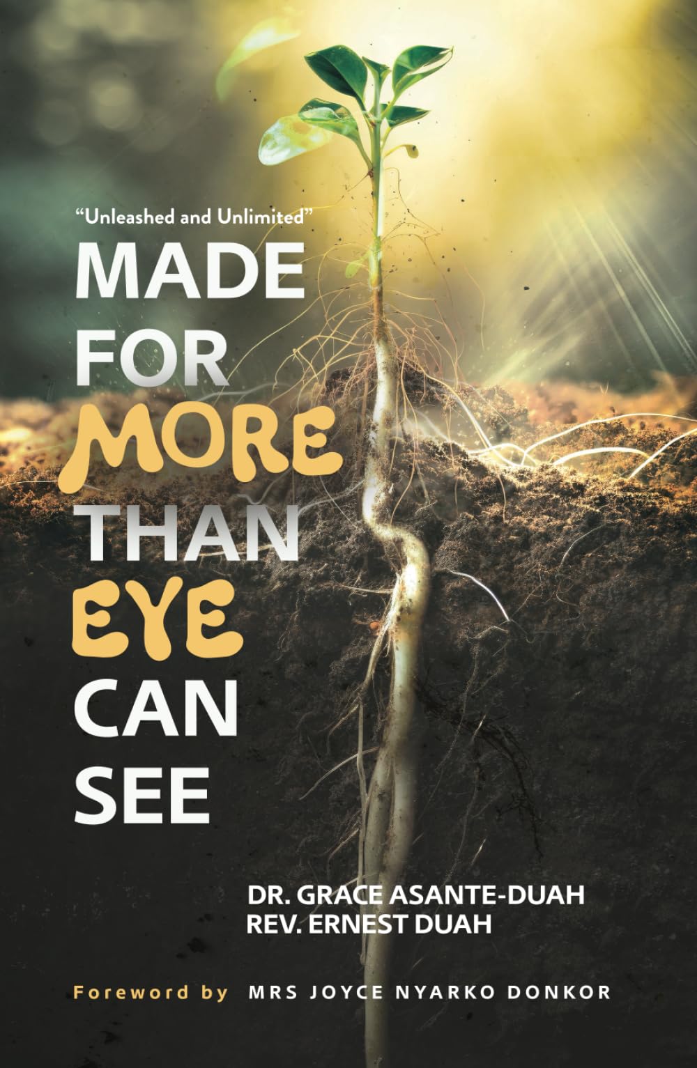 Made for More Than Eye Can see: Unleashed and Unlimited