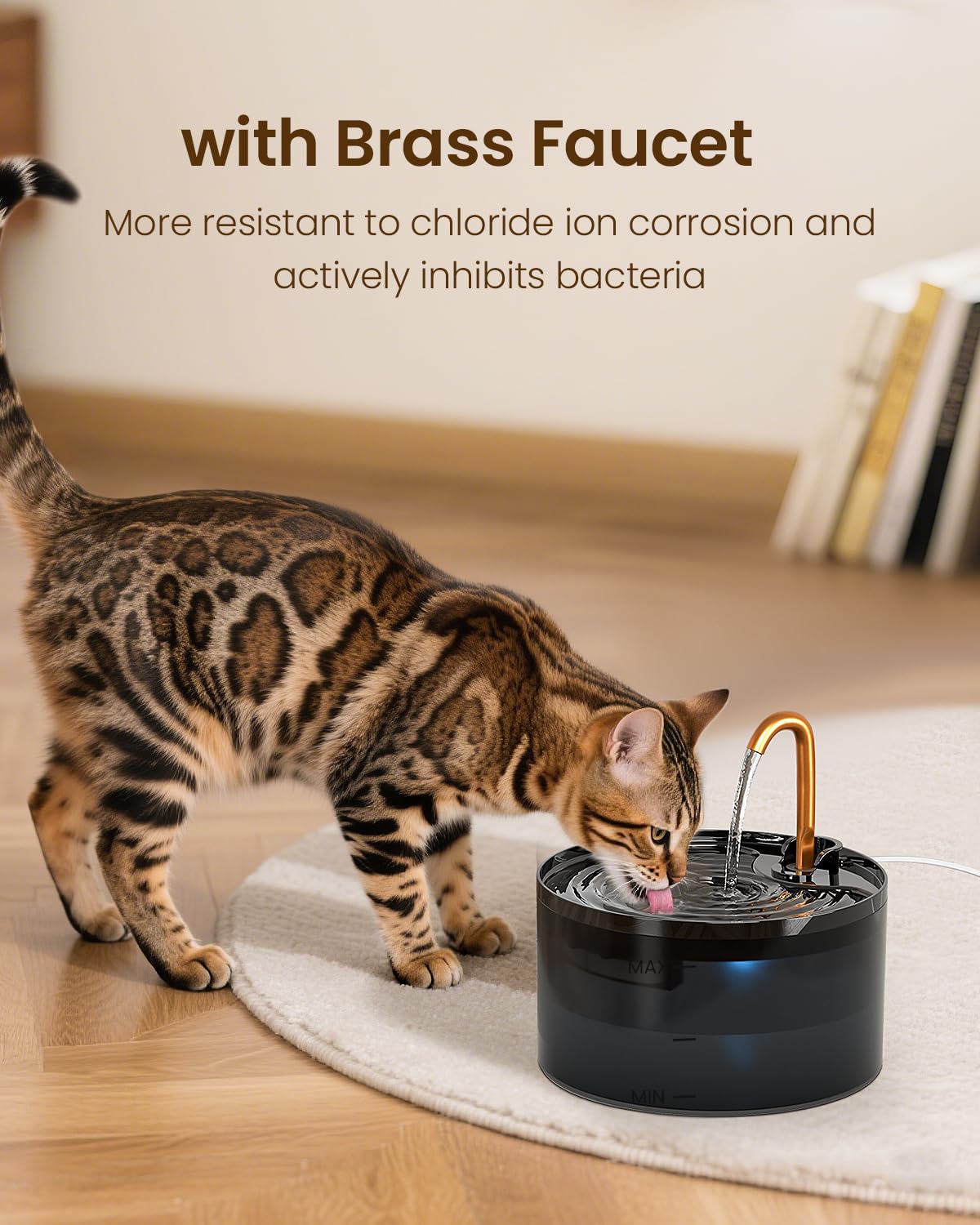 MISFANS Cat Water Fountain: Quietly Encourages Drinking | Tested