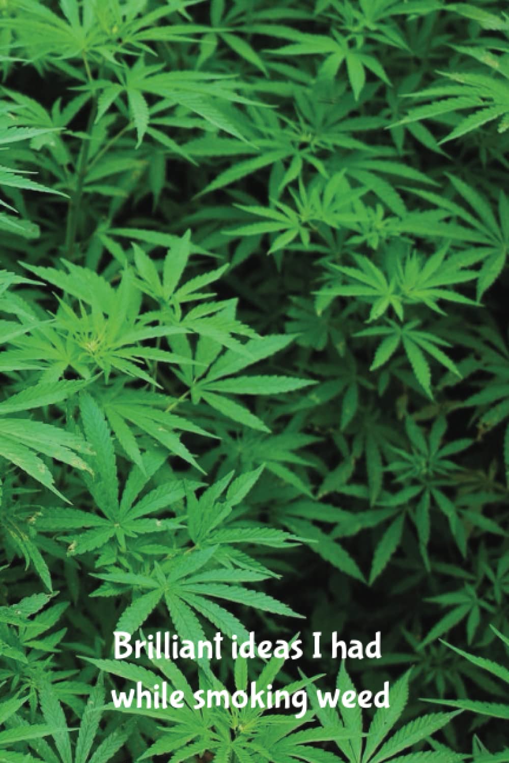 Brilliant ideas I had while smoking weed Wide Lined Notebook: Funny Gift for Marijuana Reefer or Pot Smoker