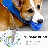 Ver la foto 6