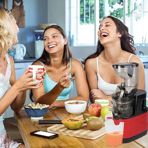 Miniatura 2 de Exprimidor de prensa en frío, máquinas exprimidoras de masticación lenta de 300 W, máquinas exprimidoras prensadas en frío, canal de alimentación