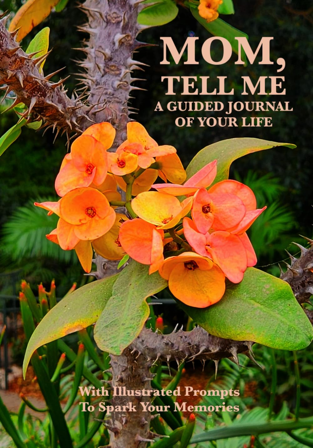 Mom, Tell Me: A Guided Journal of Your Life