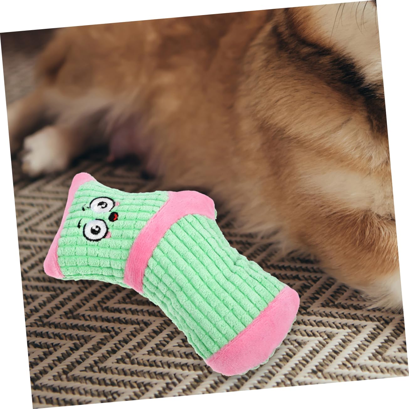 BESPORTBLE 10stücke Plüsch Spielzeug Für Kleine Hunde Quietschendes Kauspielzeug Sockenform Für Welpen Und Zahnpflege Langlebig Und Farbenfroh -grün