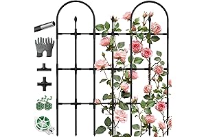 Garden Rose Climbing Plants Trellis - 47.6" H x 38.2" W