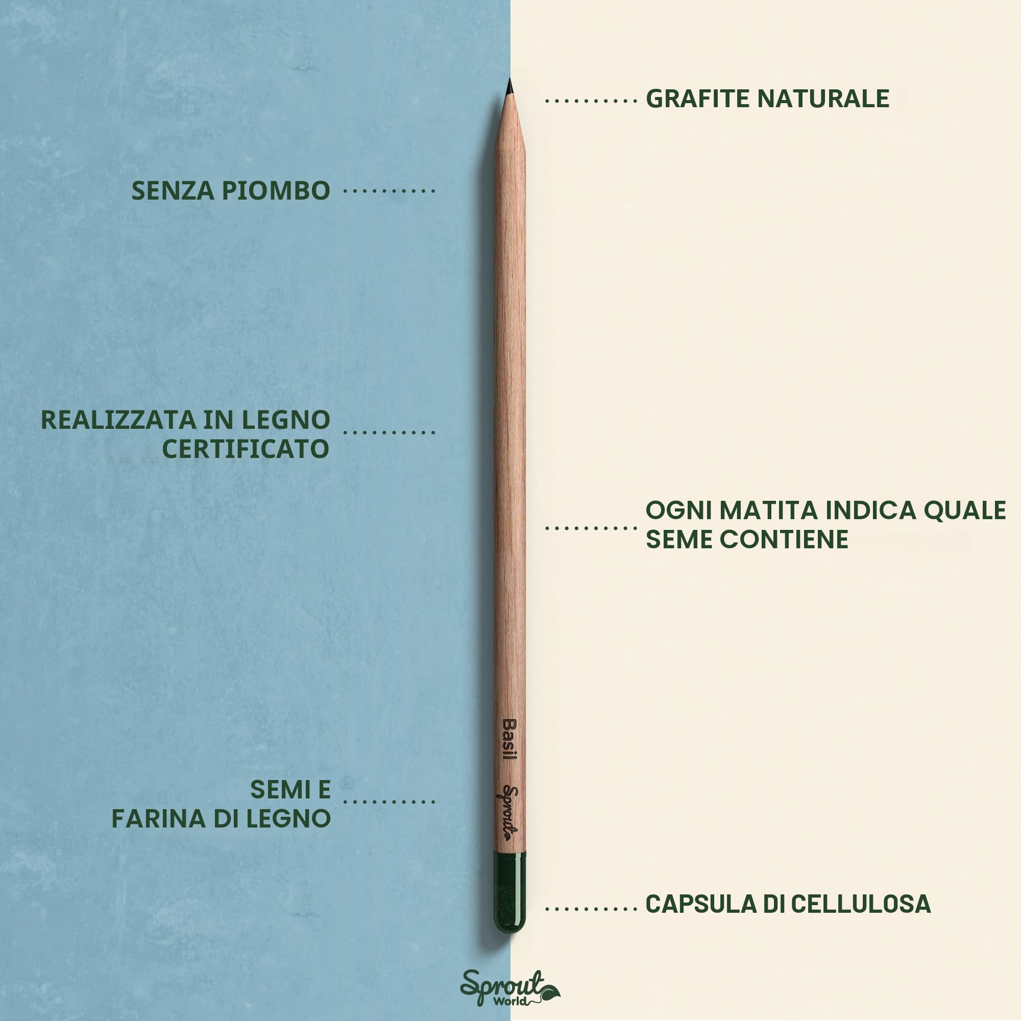 Sprout World Matite Piantabili EVERYDAY EARTH 12 Matite Grafite 6 Semi Fiori Erbe Frutta Incise Pensieri Ispiratori HB