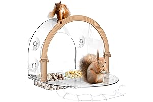 Window Squirrel Feeder - A Bird Watching Haven