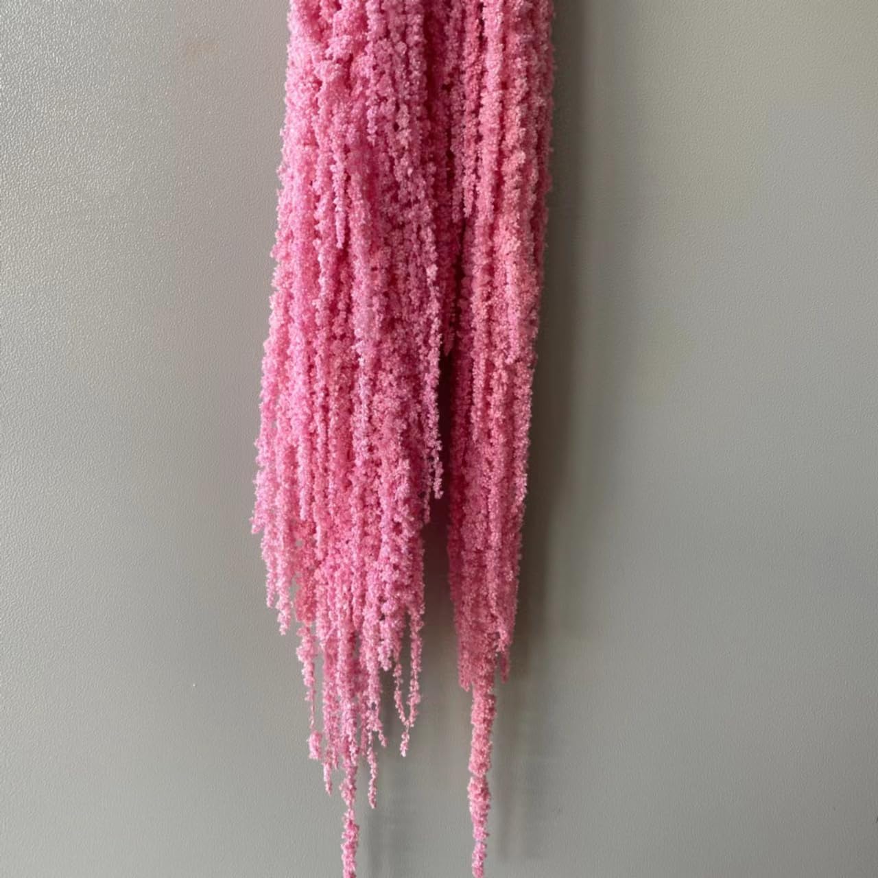Dongarts Deep Pink Natural Preserved Amaranthus Flowers, 5 Pcs Bleached Wisteria Vine Hanging Dried Flowers For Wedding Bouquet, Home Party Decor (Deep Pink)