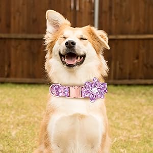 TDTOK Girl Dog Collar with Detachable Flower, Safety Metal Buckle Floral Pattern Soft Comfy Cotton Pet Collars for Small Medium Large Dogs, Fit Necks 10.2-23.6