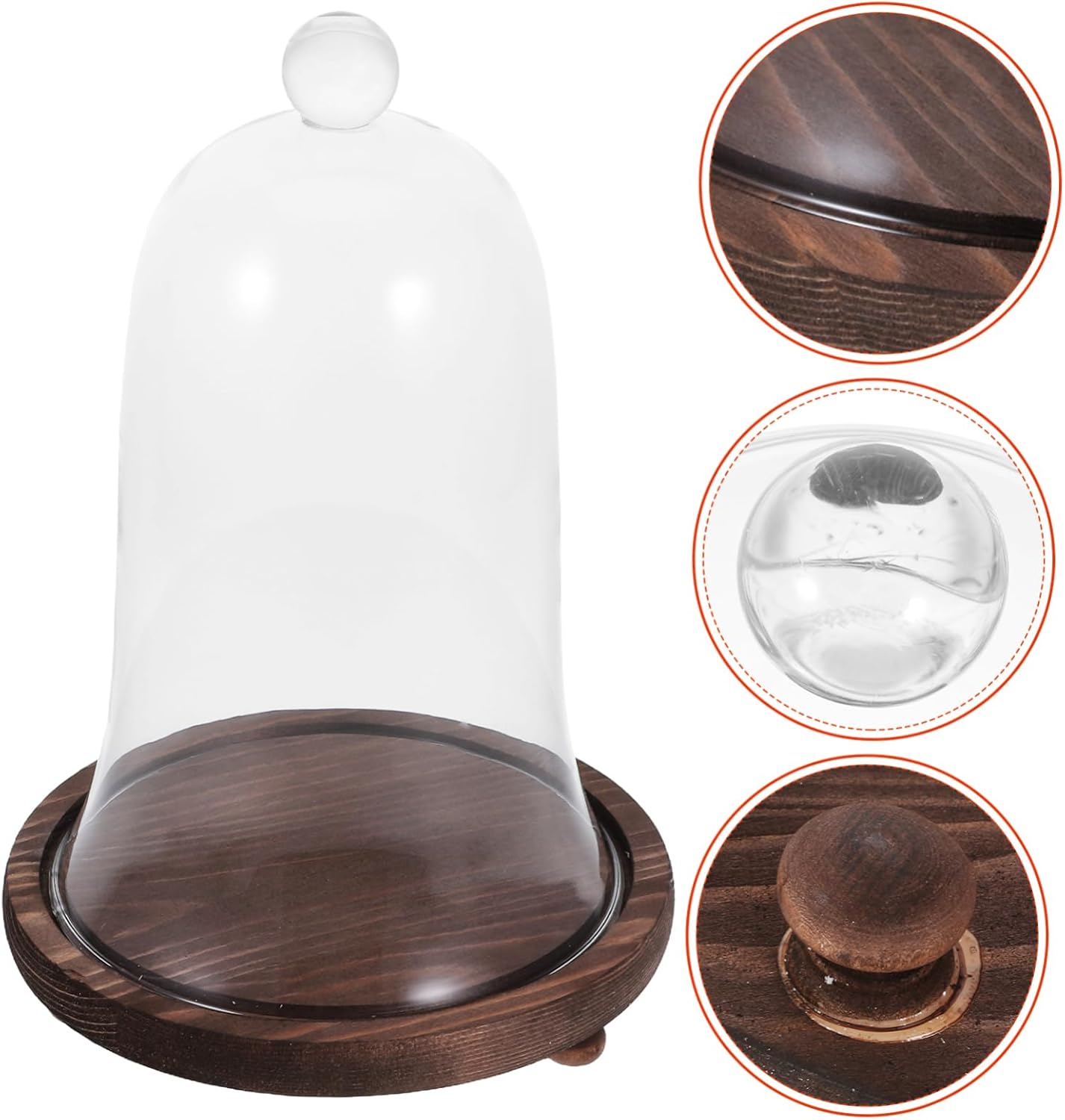 BESTYASH 1set Eternal Flower Glass Dome Base Decor for Preserved Flowers and Keepsakes Stylish Display Case for Adornment