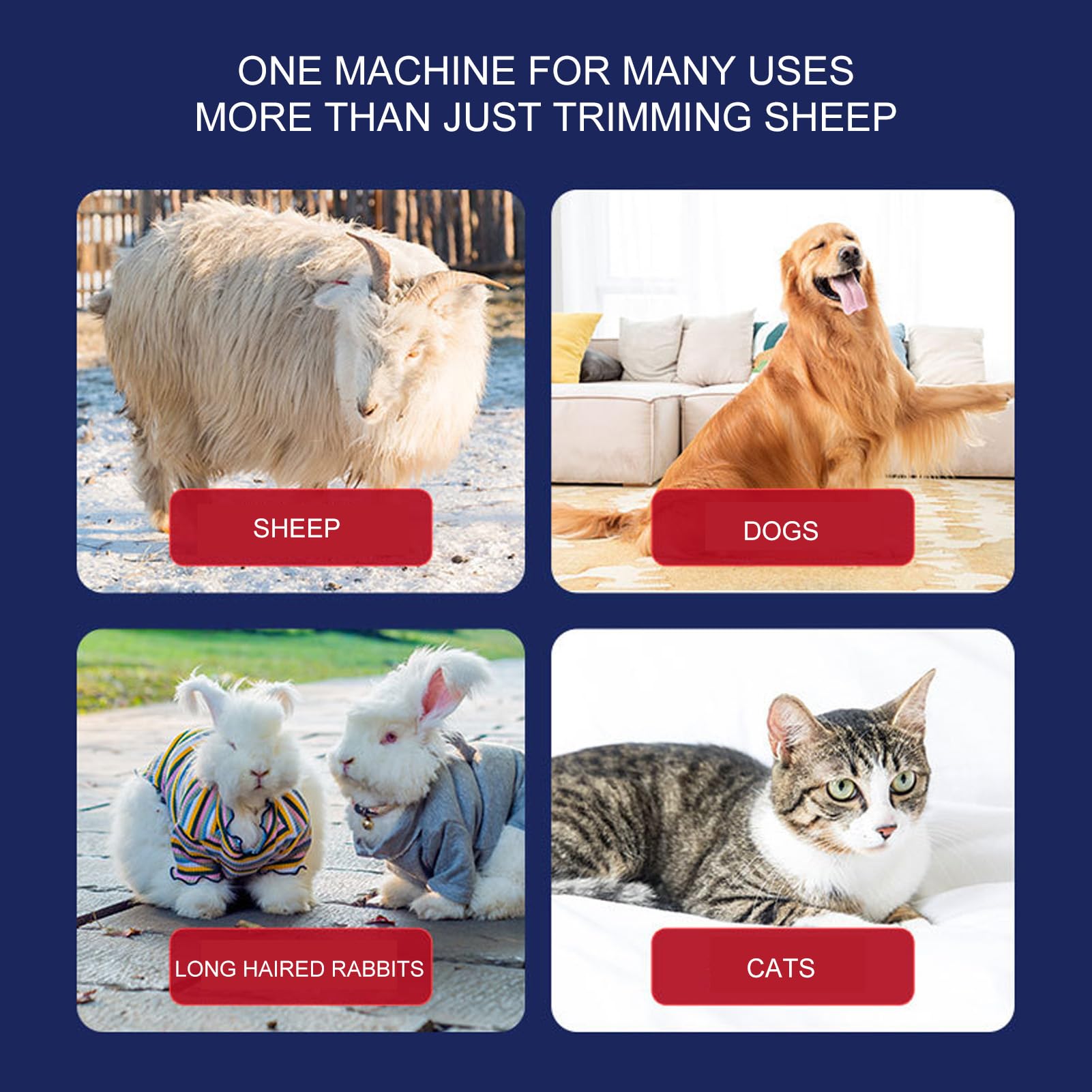 Tosatore per Pecore Elettrico Tosatore per Animali Design Antiscivolo Sicuro per Pecore Capre Gatti Cani Animali Domestici (Spina europea)